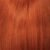 GINGER