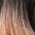 HoneyBlonde Dark Roots